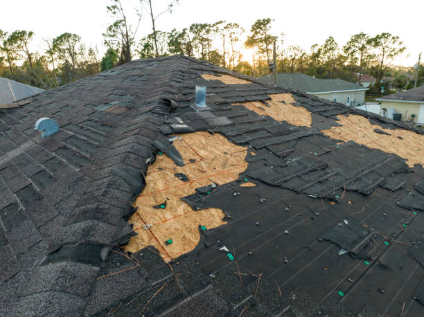 Best Emergency Roof Repair Services  in Stewartville, MN